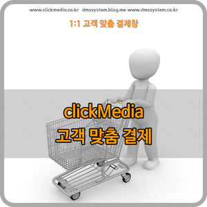 뉴스킨 DeckLink Duo 2 구매